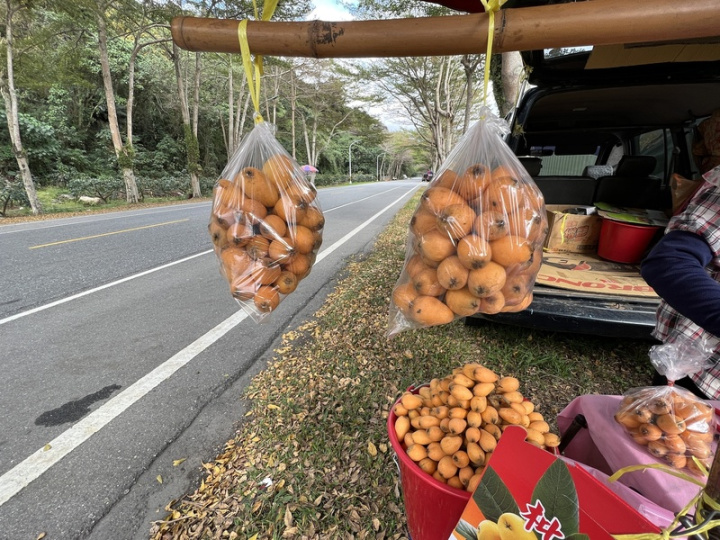 元宵節過後，台東縱谷的枇杷陸續上市，產期預估至清明節，這幾天台9線鹿野段，路旁擺攤的小農已經掛上枇杷。