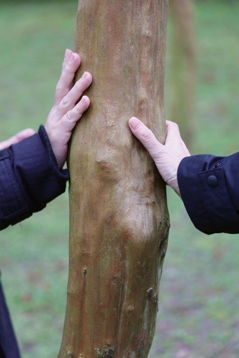 李嘉梅教我們用五感認識青草。