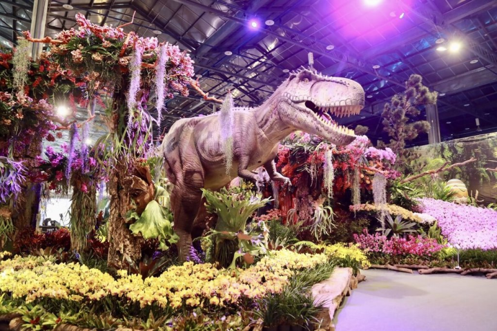 台灣國際蘭展熱烈開展中，日本NHK新聞節目「Catch!世界的視點」14日播出蘭展現況。（台南市政府提供）