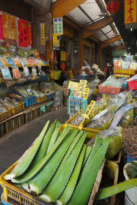 小小的草藥舖裡藏了數百種的青草藥材。