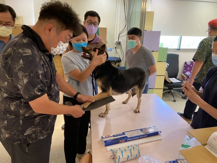 近日有開業獸醫師主動到壽山動物保護教育園區開課，分享臨床經驗和照護技巧，提升收容園區犬貓醫療品質。（高雄市動物保護處提供）