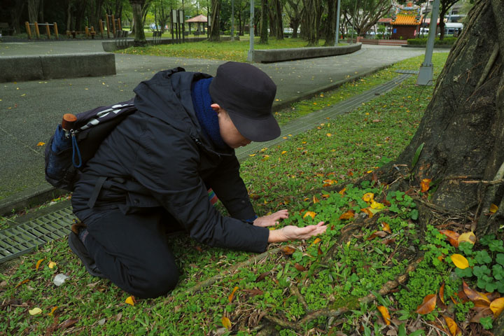 李嘉梅教我們用五感認識青草。