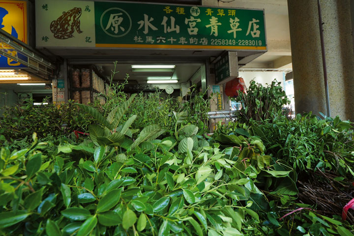 在青草店裡，同時可買到乾燥的、新鮮的青草。