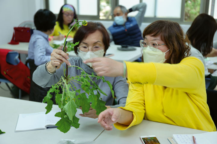 在李嘉梅（上圖左）的「節氣青草  養生廚房」教室中，學員藉由辨識青草、品嚐青草料理，讓青草重回到日常生活中。