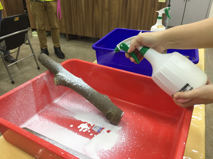 為免果樹曬裂、發生蟲害，台東區農業改良場26日推出簡易有效防曬術，用輕質碳酸鈣、白膠及水均勻混合施噴，枝幹表面可降低攝氏5到12度，再加石灰硫磺合劑可防蟲害。