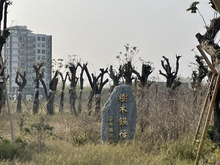 雲林縣政府2022年3月在高鐵特定區設置樹木銀行，如今逾1000棵移入，工務處指出，樹木銀行目前只用到2成的土地，當樹的種類和數量到達標準後，將進行全區域植栽美化，讓樹木銀行兼公園。