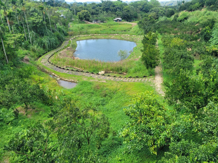 活化農塘鄰近台3線及社區苦茶油體驗場域，串聯起體驗旅遊景點，也提升在地經濟價值
