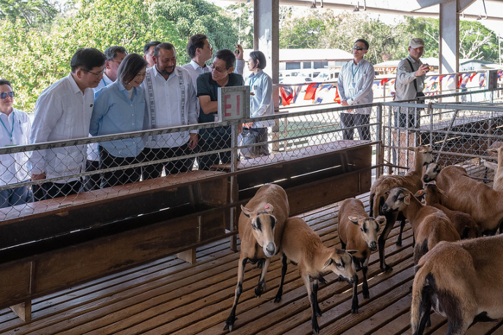 總統在貝國農長等人的陪同下參觀羊舍