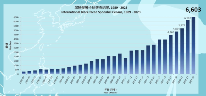 香港觀鳥會發布2023黑面琵鷺全球同步普查，今年度黑琵全球數量達到6603隻。（圖取自香港觀鳥會網頁cms.hkbws.org.hk）
