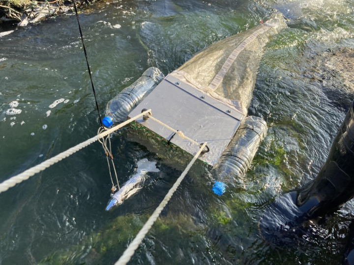 A "manta net" collects water sample for researchers of Academia Sinica's Research Center for Environmental Changes. Photo courtesy of Academia Sinica Research Center for Environmental Changes research team.
