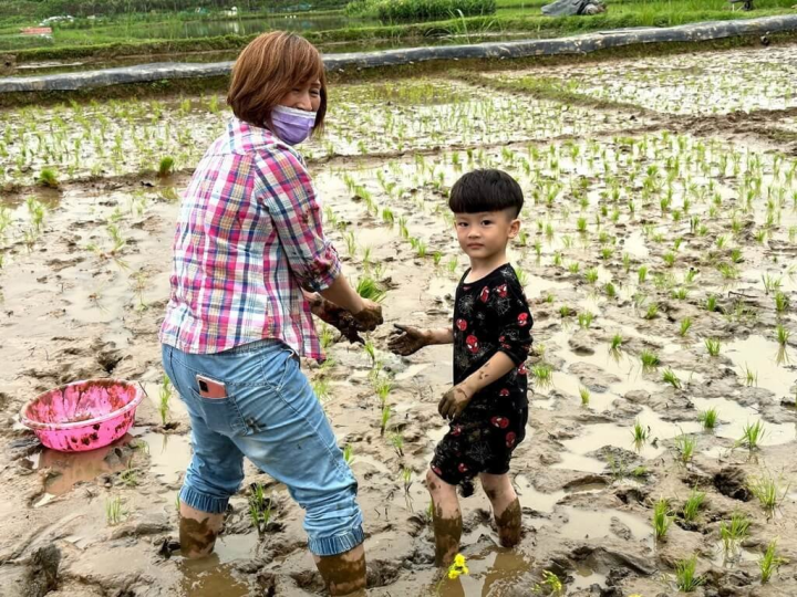 新北市金山區金美國小附幼展開「插秧季」系列課程，親子共同插秧，盼讓幼童體驗農作的辛苦並珍惜食物，與家鄉土地有美好的相遇。（新北金美附幼提供）