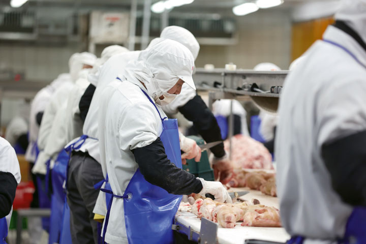 台灣的豬肉屠宰、加工與時俱進，以接軌國際為目標。圖為嘉一香的肉品分切作業區