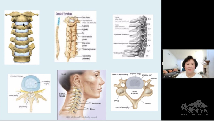 薛正和講解人體的頸椎構造