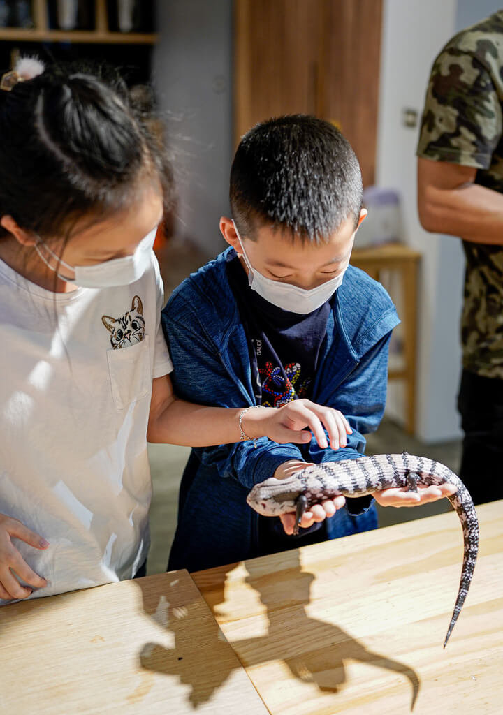 為搶攻暑假商機，桃園大溪笠復威斯汀度假酒店4日發布新聞稿表示，飯店將化身為自然生態教室，由專業生態教育團隊師資帶領，讓小朋友進入豐富又有趣的生態世界。（桃園大溪笠復威斯汀度假酒店提供）