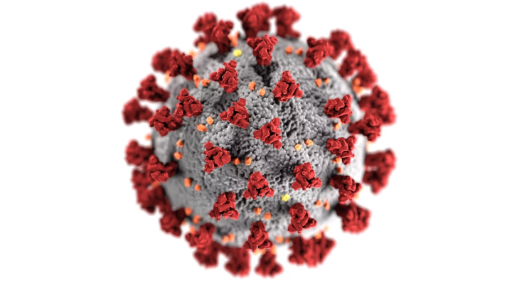 COVID-19 subvariant XBB set to drive new surge through July: CDC