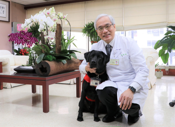 輔助治療犬Oba（圖，黑狗）是台北榮民總醫院的團寵，有健康手冊、專屬休息空間，透過游泳感受下班放鬆，也常常陪著北榮院長陳威明（圖）巡院，更有令人羨慕的院長加菜金。（北榮提供）