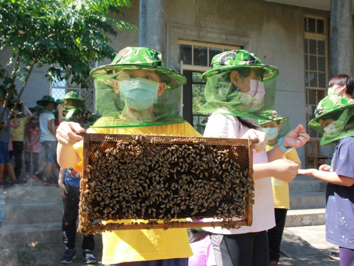 小朋友參加東發養蜂場的環境生態教育體驗活動玩得不亦樂乎