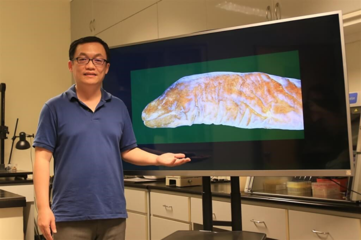 Professor Liao Te-yu (廖德裕) of National Sun Yat-sen University's Department of Oceanography presents a photograph of an eyeless specimens of the Uropterygius cyamommatus, a newly discovered Moray eel. Photo courtesy of the National Sun Yat-sen University