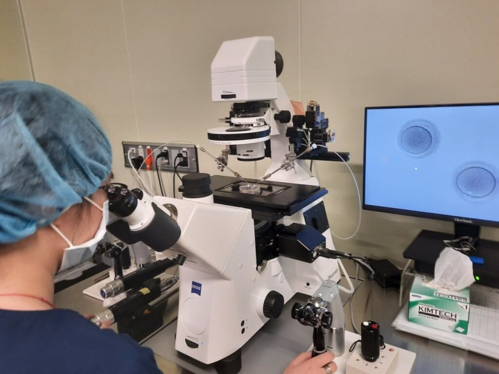 單身女子凍卵不受限制，但現行「人工生殖法」受術對象限定已婚夫妻，因此單身女子日後想做試管嬰兒，並不能隨時取用凍卵。（孕醫生殖中心提供）