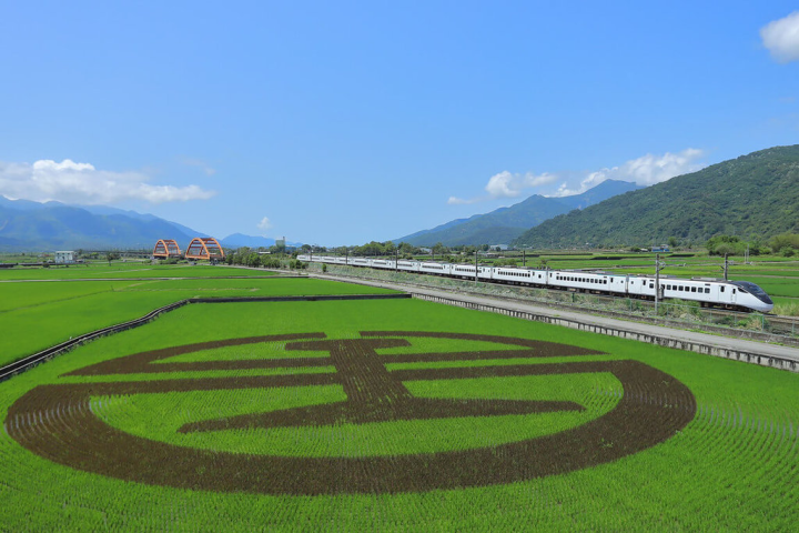 花蓮縣玉里鎮客城鐵橋北側翠綠稻田中，近期出現了大大的台鐵logo，民眾自即日起至6月中旬稻米收割前，都可自火車車窗飽覽玉里稻田彩繪美景（台鐵提供）