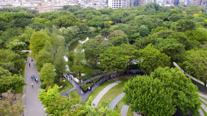 圖為大安森林公園落羽松步道。（圖取自台北市政府網頁gov.taipei）