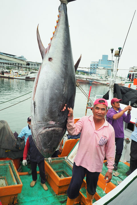 屏東黑鮪魚文化觀光季打響東港名號，每年進港的「第一鮪」則多由小琉球籍的漁船拔得頭籌，2023年的第一鮪，就是琉球籍船長洪明全駕駛的「新發財1號」所捕獲。