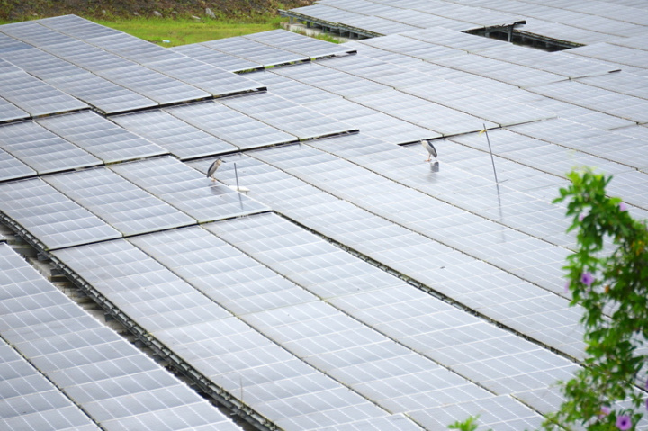 中央推動能源轉型，發展太陽能綠能發電，花蓮縣鳳林鎮近年被光電業者相中，爭相申請地面型太陽光電開發案；其中包含造林地、未開發林地等，引起地方居民正反意見。