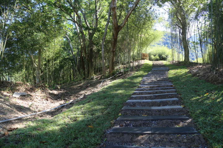 花蓮縣政府舉辦「花蓮絕美步道」活動，鼓勵民眾走入20條花蓮各級別步道，健康活動且享受美景，拍照上傳網站即可獲獎；圖為富里鄉羅山竹林步道。