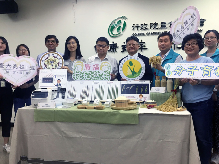 農業委員會高雄區農業改良場舉辦記者會，發表由高雄區農改場與台大植物病理與微生物學系合作，運用分子標誌輔助選種育成的廣幅抗稻熱新品種水稻「台大高雄1號」。