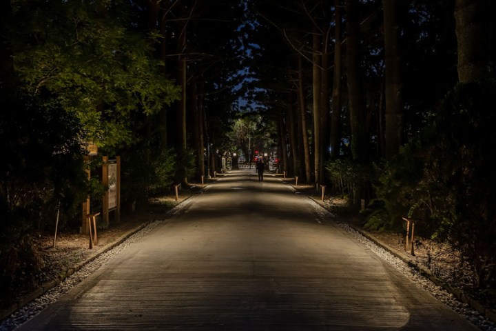 台北植物園位於和平西路口至博愛路出入口間約435公尺長的植光步道，31日正式啟用，步道沿途都換成不會影響動植物生理的燈具，減光害護生態。（中強光電文化藝術基金會提供、丰宇影像攝影）