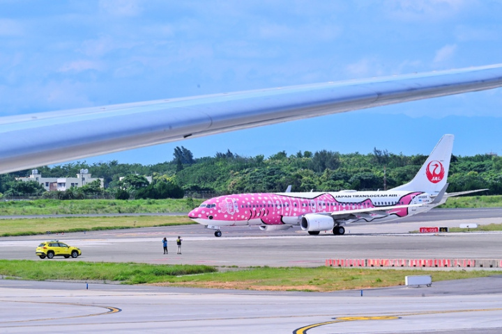 日本越洋航空鯨鯊彩繪機22日上午降落在桃園國際機場進行包機任務，吸引不少航空迷與航空公司工作人員卡位一睹風采。
