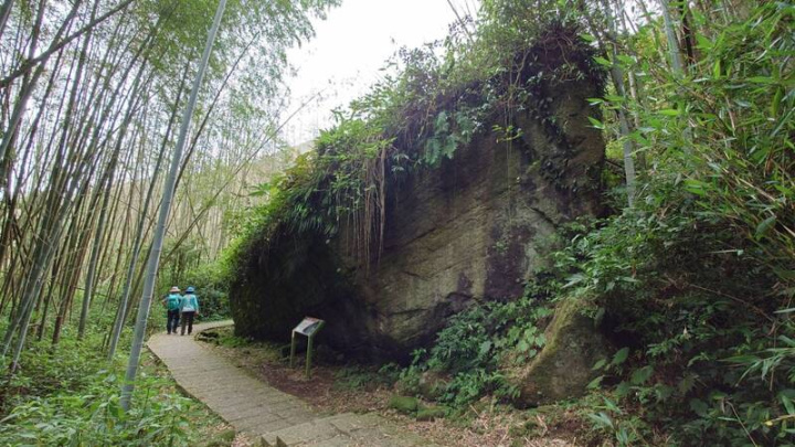 嘉義縣文觀局27日說，阿里山樂野村的「鐵達尼石」位在頂湖步道，巨石像即將沉沒的輪船，是大自然鬼斧神工。