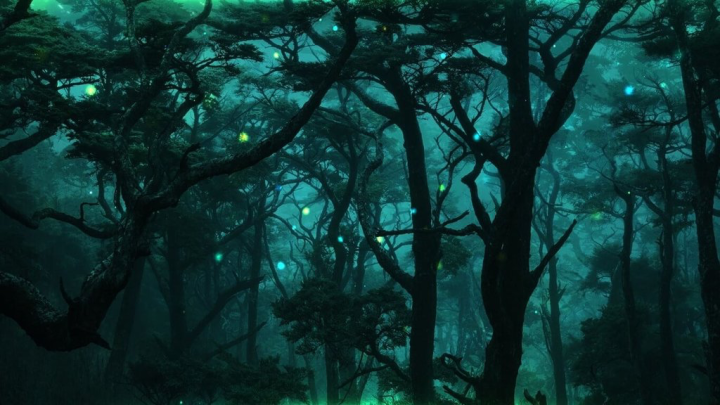 NSO國家交響樂團「仲夏夜之夢」音樂會30日在台北國家音樂廳舉行，將透過攝影家劉振祥在大武山所拍攝的攝影作品加上陳彥任的影像設計，展現聽覺與視覺交織的音樂盛宴。（NSO提供）