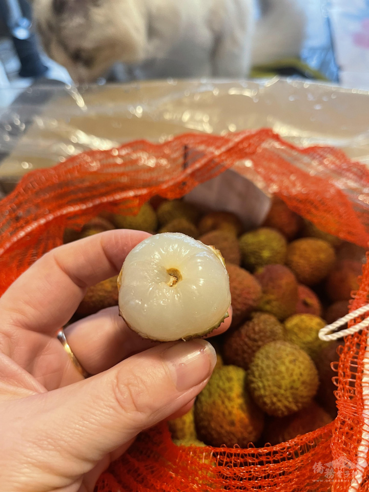 香甜多汁的臺灣荔枝令在紐臺灣僑民愛不釋手甫上市便搶購一空