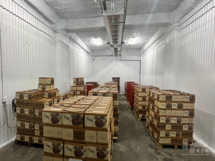 出口紐西蘭的臺灣荔枝全程妥善放置冷藏貨櫃