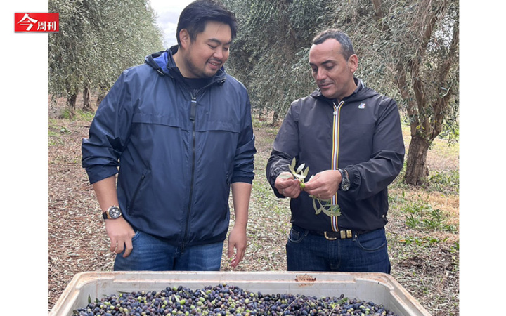 獵人谷之夢．希爾斯頓橄欖莊園總經理Mauro Ruffolo（右）是橄欖種植博士，改良許多農法。（攝影／陳葦庭）