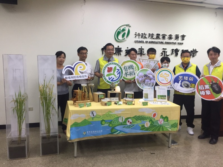 農委會台東區農業改良場在台北舉行記者會，說明與苗栗區農業改良場、中興大學合作，在1年間找出搶救上百公頃有機稻田解方，透過可致命的黑殭菌、以天敵黑卵蜂寄生，並搭配延後插秧等，可有效打擊害蟲稻黑椿象，讓有機稻米產量迅速恢復。