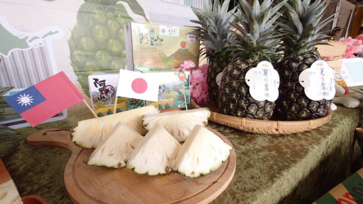 嘉義民雄生產的牛奶鳳梨將首度外銷西日本地區，19日封櫃啟航。縣府農業處指出，牛奶鳳梨為嘉縣專屬特色品種，口感細嫩、糖酸比適中，呈現牛奶色果肉還帶著淡淡花香。