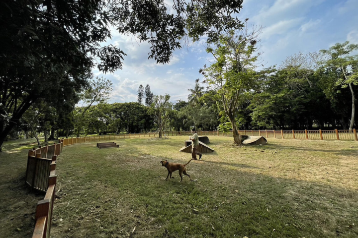 台南市文化局指出，台南山上花園水道博物館原在花園區規劃寵物園區，讓寵物可以自由活動，相當受飼主歡迎，但隨著入園寵物增加，館方也重新在密林區劃設寵物園區，面積比原來多出約1/3，也讓遊客更方便親近自然環境。（台南市文化局提供）