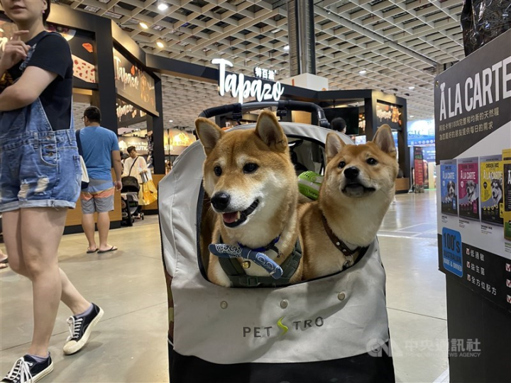 Two dogs ride in a pet stroller at the pet expo 2023 in Taipei Sunday. CNA photo July 9, 2023