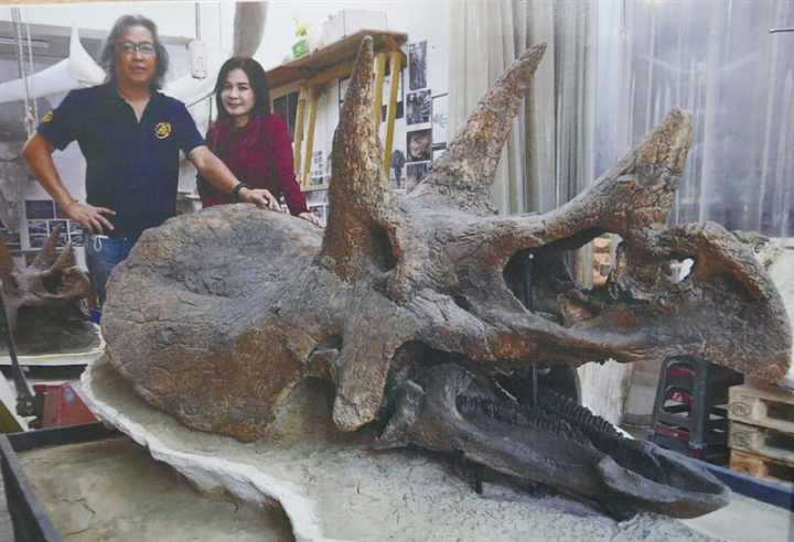 Hsiao Yu-fu (left) and an associate pose next to Big Boss, the most complete triceratops skull to be restored in the world. Photo courtesy of Hsiao Yu-fu