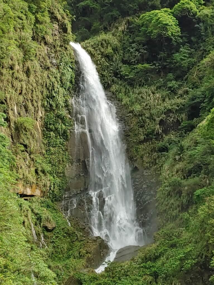 嘉義縣觀音瀑布風景區將在7月16日開園營運，全區共有7道瀑布瀑布群，第4道瀑布（圖）高達百餘公尺，泉水湧下時有如觀音菩薩手持淨水瓶一般，因而享有「觀音瀑布」美名。（阿里山管理處提供）