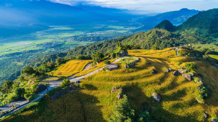 以自行車「徐行縱谷」為品牌，交通部觀光局花東縱谷國家風景區管理處今夏推出新玩法，由專業自行車領騎人員帶領遊客騎乘電輔車，遊訪花蓮六十石山金針花海。（花東縱谷國家風景區管理處提供）
