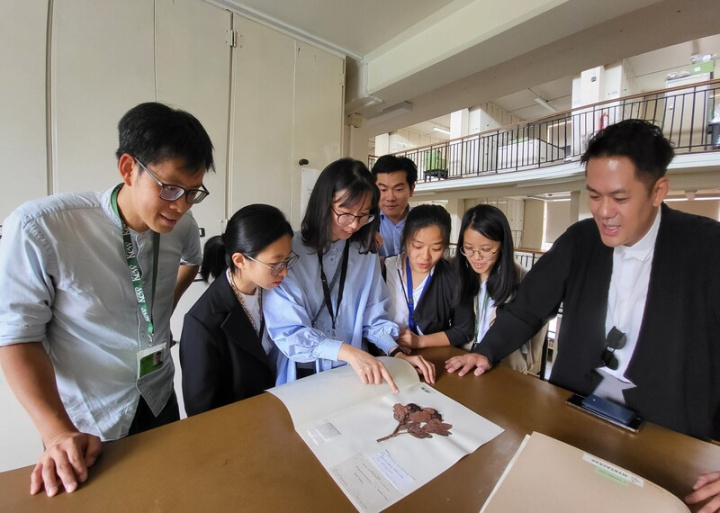 英國名列聯合國世界遺產的植物園「邱園」今年首見台灣實習生：台灣大學碩士與學士生林妮臻（左2）、方薇涵（左3）、柳沐真（右2）、洪靖媛（右3）3日與訪英視察的台大國際事務處全球關係總監吳霽儒（右1）在標本庫檢視來自台灣的疏脈赤楠標本。