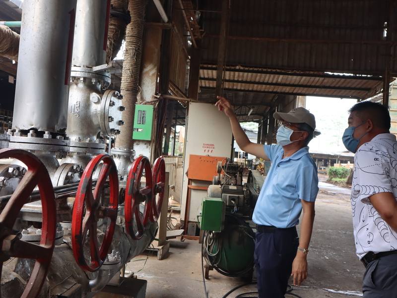 1990年代響應南向政策，台商陳永彬拎著一卡皮箱南向東馬拿篤從事木材業，迄今屹立不搖。圖為陳永彬（右2）巡視工廠作業情形。