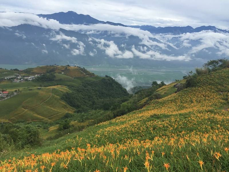 每年8至10月是花蓮玉里赤科山、富里六十石山金針花開時節，觀光處呼籲遊客遵守花季期間上下山的交通管制措施及縣府公告，更要隨時注意氣象預報，以免天候不佳影響上山賞花的行程。