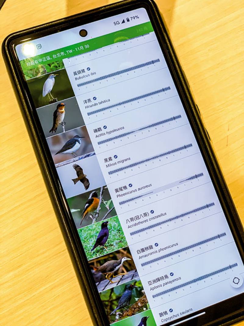 運用eBird與Merlin等App可線上查找鳥種資訊，還能夠提供所在地周遭常出現的鳥種，