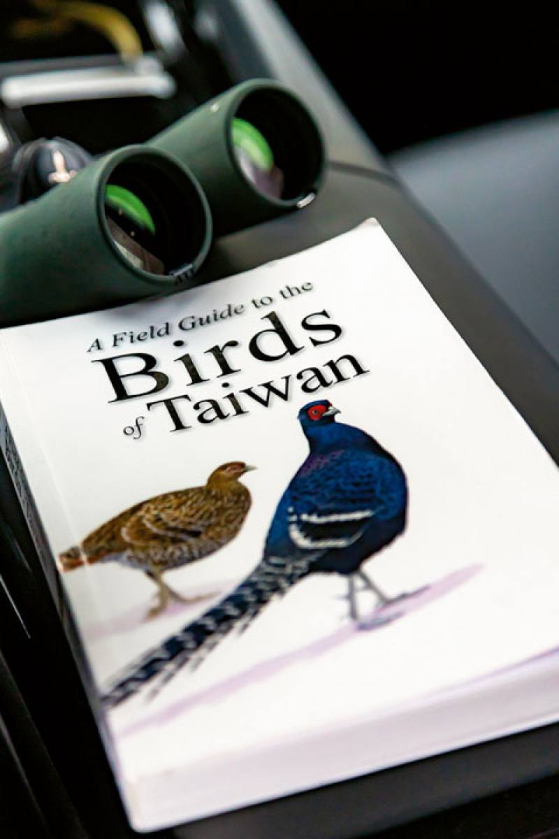 賞鳥是一場與自然台灣的邂逅。