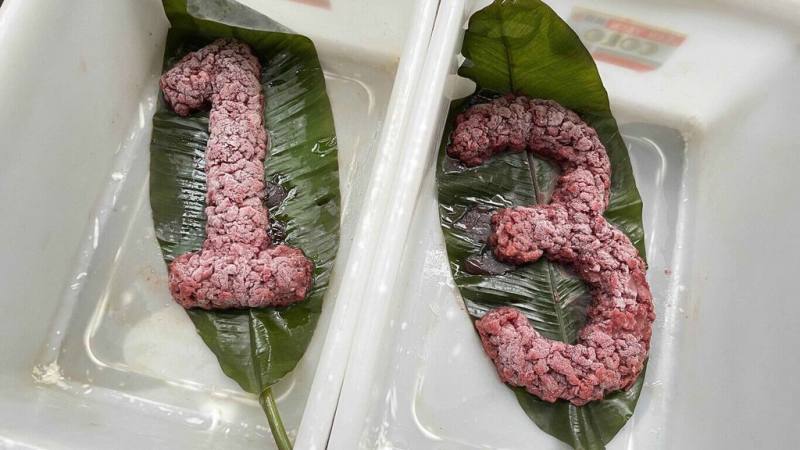 國立屏東科技大學保育類野生動物收容中心獅虎阿彪迎來13歲生日，照養員利用絞肉塑形成「13」形狀，再冷凍成凍肉蛋糕為阿彪慶生，讓阿彪在炎炎夏日下能大快朵頤又能消消暑氣。（屏科大提供）