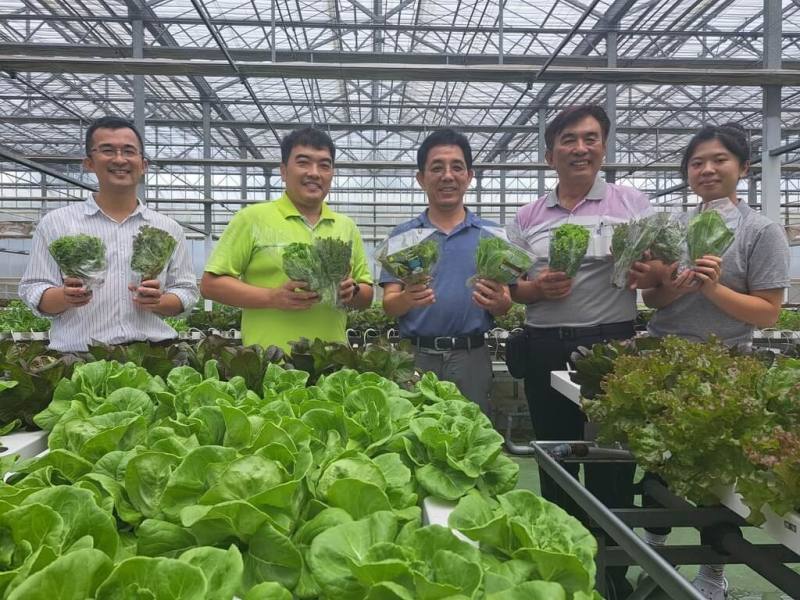 2022年獲選第6屆百大青農的三欣園藝經理許永輝（左2）在嘉義縣大林鎮經營的葉萵苣植物工廠108年接受農糧署輔導並取得產銷履歷驗證，目前每週產量約4噸，因穩定供貨能力佳，獲家樂福及多家連鎖通路青睞選用。左3為農糧署南區分署長陳立儀。（農糧署南區分署提供）